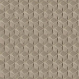 Acclivity 3D Pinwheel Sand 8" Hexagon Relief Cement Tile Wall Installation