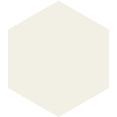 Mission Blanc 8" Hexagon Encaustic Cement Tile