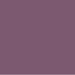 Mission Grape (S301) Cement Tile Color Chip 