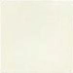 Mission White (S100) Cement Tile Color Chip 