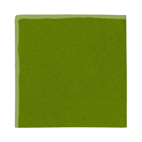 Malibu Field Evergreen 7741C Ceramic Tile - Avente Tile