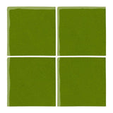 Malibu Field Evergreen 7741C Ceramic Tile - Avente Tile