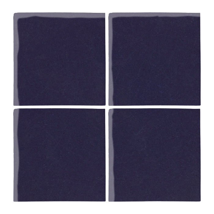 Malibu Field Midnight Blue #2965C Ceramic Tile – Avente Tile
