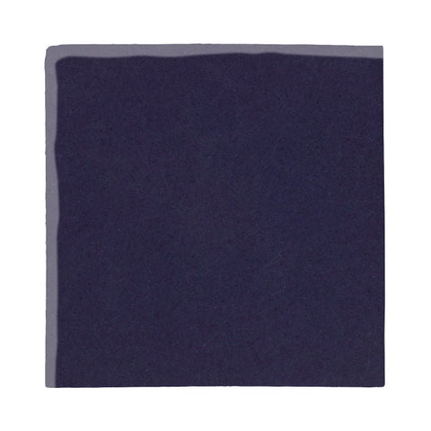 Malibu Field Midnight Blue 2965C Ceramic Tile - Avente Tile