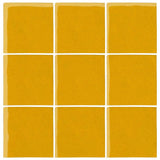 Malibu Field Sunny Side Up 1225C Ceramic Tile - Avente Tile