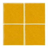 Malibu Field Sunny Side Up 1225C Ceramic Tile - Avente Tile