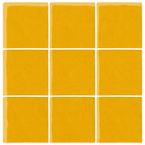 Malibu Field Sunny Side Up 1225C Ceramic Tile - Avente Tile