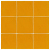 Malibu Field Valencia Orange Matte 129U Ceramic Tile - Avente Tile