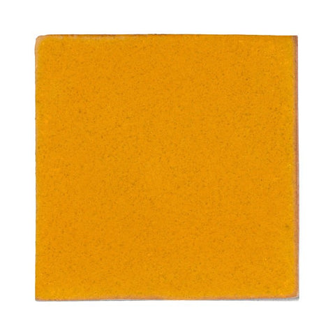 Malibu Field Valencia Orange Matte 129U Ceramic Tile - Avente Tile