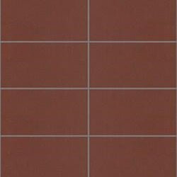 Mission D'Hanis Red 4"x8" Encaustic Cement Tile - Avente Tile