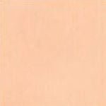 Mission Melon Color Chip Encaustic Cement Tile - Avente Tile