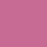 Mission Mexican Rose Color Chip Encaustic Cement Tile - Avente Tile