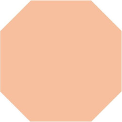 Mission Salmon Octagon Encaustic Cement Tile 8"x8" - Avente Tile