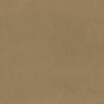 Mission Sandstone Color Chip Encaustic Cement Tile - Avente Tile