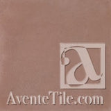 Rustic Sangaree Color Chip Cement Tile