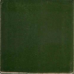 Yucatan Dark Green Ceramic Tile - Avente Tile
