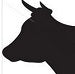 A Bull Nose A Bull Nose