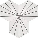 Avente Mission Bakery White 8 inch Hexagon Cement Tile Grouping