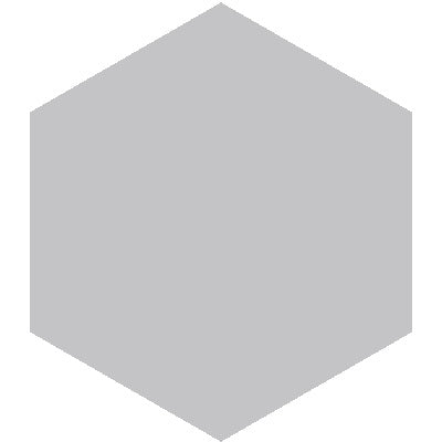 Mission Gris Mexico 8" Hexagon Encaustic Cement Tile