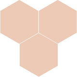 Mission Salmon 8" Hexagon Encaustic Cement Tile