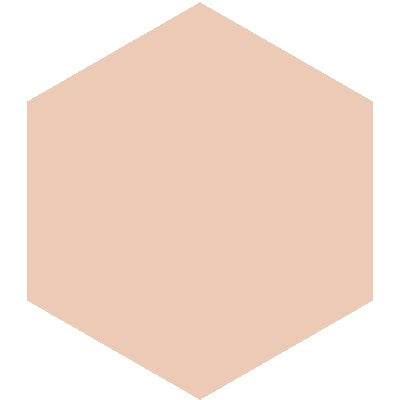 Mission Salmon 8" Hexagon Encaustic Cement Tile
