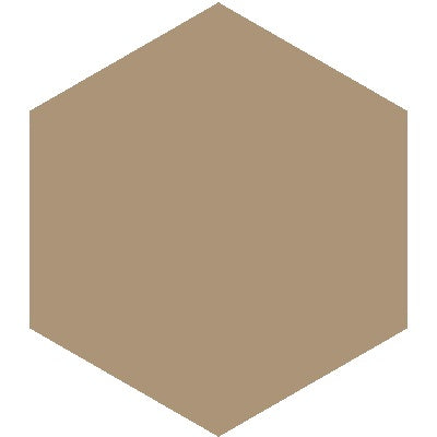Mission Sandstone 8" Hexagon Encaustic Cement Tile