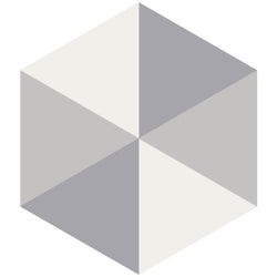 Mission Agatha 01 8" Hexagon Cement Tile - Avente Tile