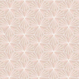 Mission Bakery Salmon & White 8" Hexagon Cement Tile - Avente Tile