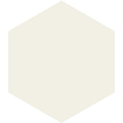 Mission Blanc 8" Hexagon Encaustic Cement Tile - Avente Tile