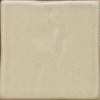 Yucatan Durango Ceramic Tile - Avente Tile