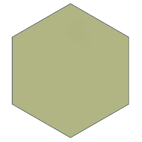 Classic Jade 8" x 9" Hexagon Encaustic Cement Tile