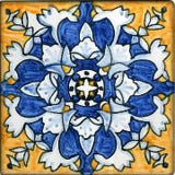 Spanish Cadiz 6" x 6" Hand Painted Ceramic Tile