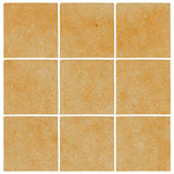 Malibu Field 4"x4" Dijon Mustard Matte #7551U Ceramic Tile