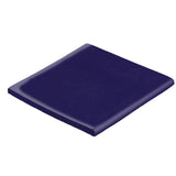 Malibu Field 6" x 6" Surface Bullnose Cobalt