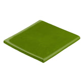 Malibu Field 6" x 6" Surface Bullnose Evergreen