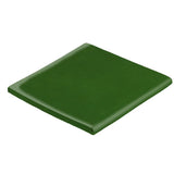 Malibu Field 6" x 6" Surface Bullnose Pine Green