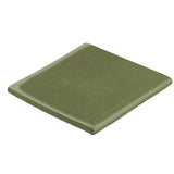Malibu Field 6" x 6" Surface Bullnose Spanish Moss