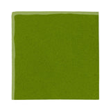 Malibu Field 12"x12" Evergreen #7741C Ceramic Tile