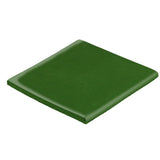 Malibu Field Surface Bullnose 3" x 3" Pine Green