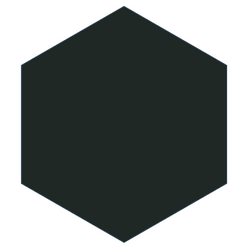 Mission Black 8" Hexagon Encaustic Cement Tile