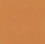 Mission Caramel (S905) Cement Tile Color Chip 