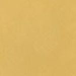 Mission Gold (S109) Cement Tile Color Chip 