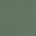 Mission Green (S110) Cement Tile Color Chip 
