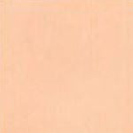 Mission Melon (S123) Cement Tile Color Chip 