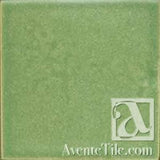 Pool Tile Sequoia Surface Bullnose 6x6