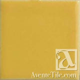 Pool Tile Jamaica Surface Bullnose 6x6