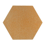 Rustic Terracotta 12" hexagon Yellowstone