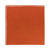 Rustic Terracotta 8"x8" Hazard County Orange
