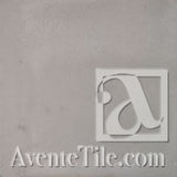 Sidewalk Gray Rustic Cement Tile