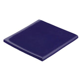 Malibu Field Surface Bullnose 4" x 4" Cobalt